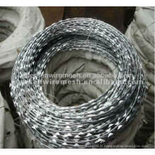 Galvanisé Concertina Razor Wire Manufacturer